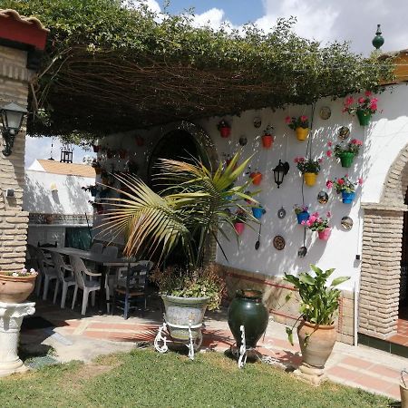 Casa De Campo Con Piscina En Sevilla En Лос-Паласьос-і-Вільяфранка Екстер'єр фото
