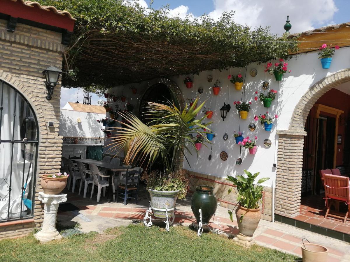Casa De Campo Con Piscina En Sevilla En Лос-Паласьос-і-Вільяфранка Екстер'єр фото